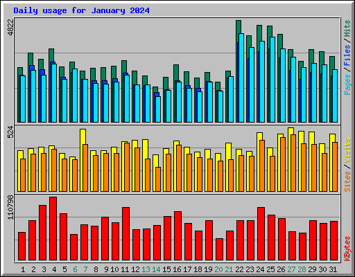 Daily usage for January 2024
