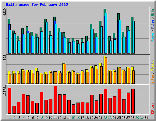 Daily usage for February 2025