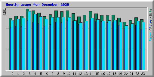 Hourly usage for December 2020