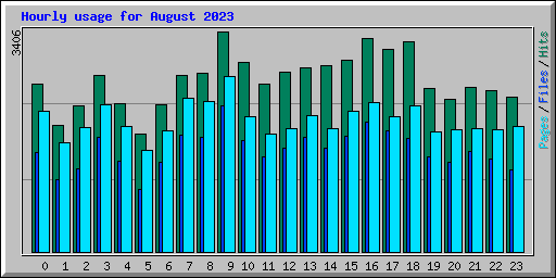 Hourly usage for August 2023