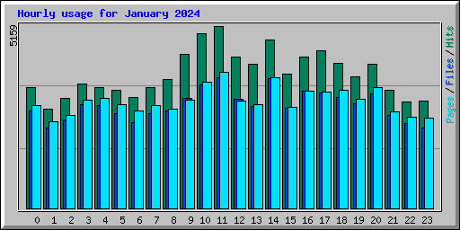 Hourly usage for January 2024