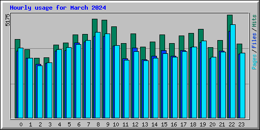 Hourly usage for March 2024