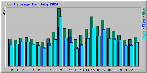 Hourly usage for July 2024