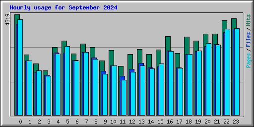 Hourly usage for September 2024