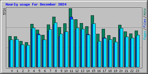 Hourly usage for December 2024