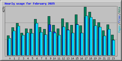 Hourly usage for February 2025