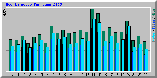 Hourly usage for June 2025